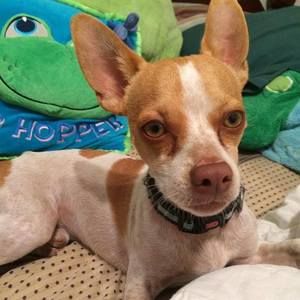 Meet your Posher, Susanne